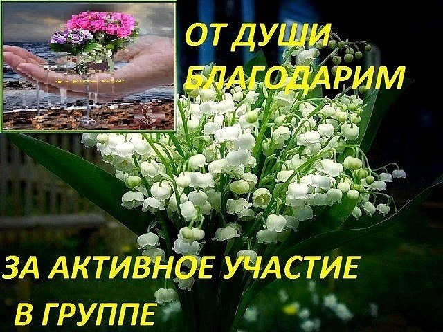   ,    . - 30  2021  20:43 - 7