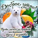  , -, 52  -  11  2020    