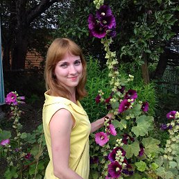 ����, �������, 36 ���