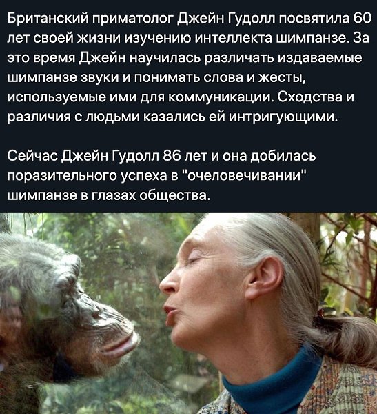BEST | , ,  - 28  2020  19:07