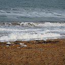 ���� �����, ������ - ��������� 6 ������� 2021 � ������ ����� 20-21�