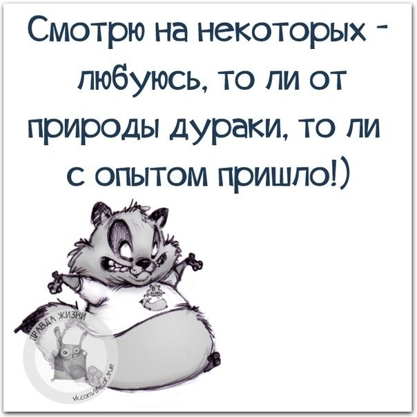   - 7  2021  08:31