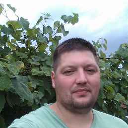 ����, ������