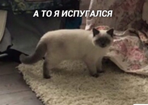   ,     ) - 3