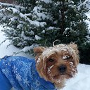 ���� �������, ������ - ��������� 7 ������ 2021 � ������ ���� ����������