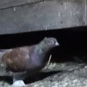 ���� �����, ������� - ��������� 18 ������� 2020 � ������ ���� �����