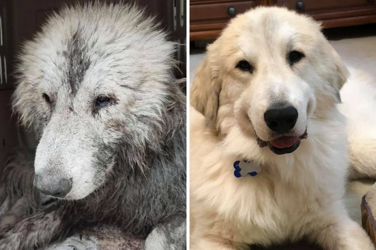   , ,    .     ! ... - 4