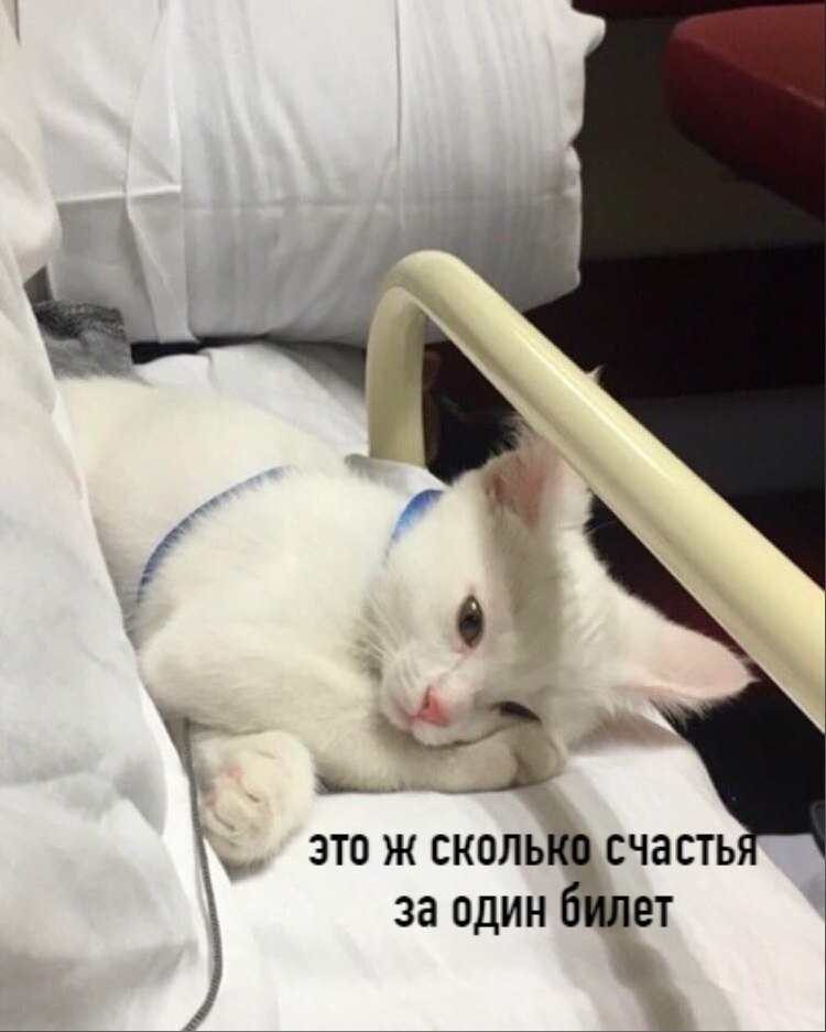   - 2