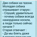 ���� ��������, ������, 53 ���� - ��������� 5 ������� 2020 � ������ ������ ��������