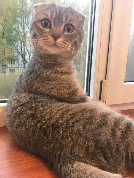   2  .      ,     )))