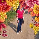���� �����, ������, 73 ���� - ��������� 19 ������� 2021 � ������ ���� ����������
