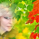 ���� �����, �������� - ��������� 20 �������� 2020 � ������ ���� �������