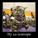 ���� ����, �������, 40 ��� - ��������� 27 ������� 2020 � ������ ���� ����������