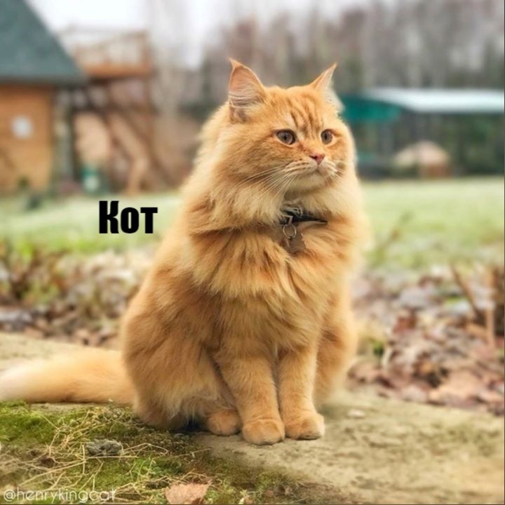   - ) - 10