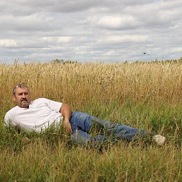 ���������, ���������, 61 ���