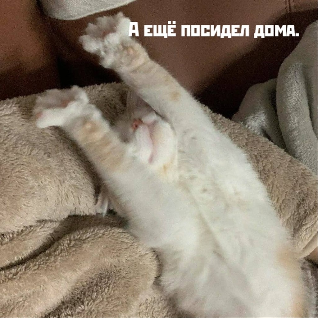       - 9  2021  21:37 - 2