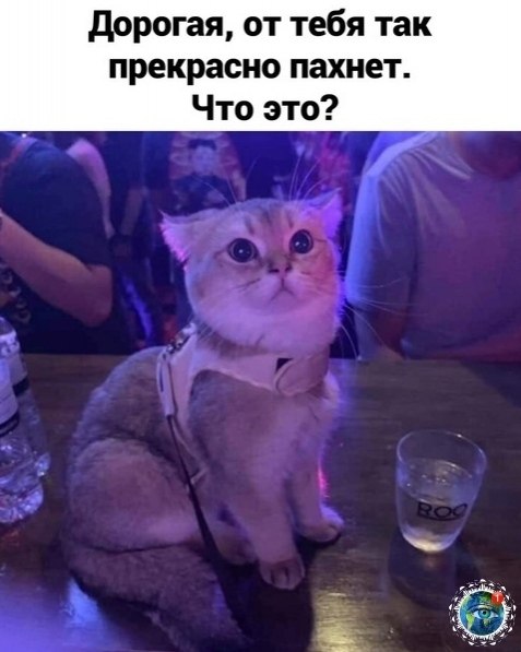  ee oe. anim aea