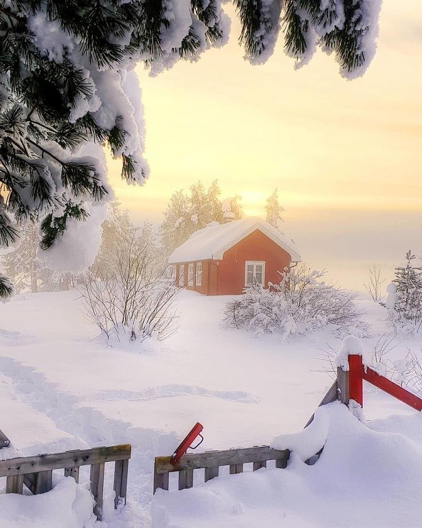 Белый снег - чистый снег.Как же радует он всех!