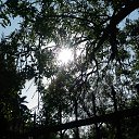 ,,,08.08.20.8.15.    2020