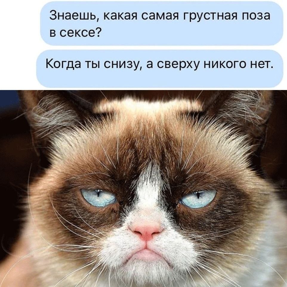Недовольный кот. Самый возмущенный. Сердитый котик. Самый возмущенный. Самый возмущенный.