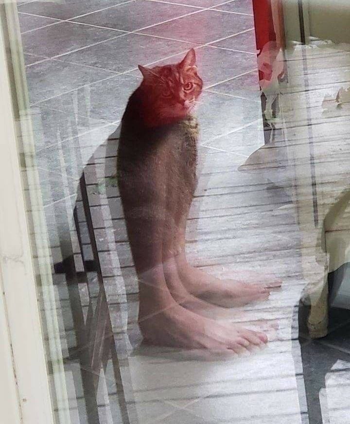   ,     6    