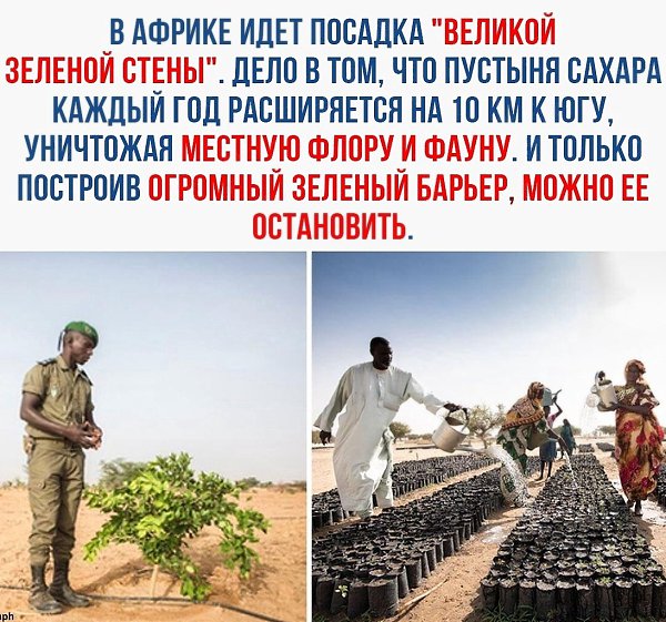 �c� o �a��e � �e��o�����x