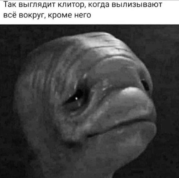 ***Victoria Viktorovna*** - 21 ������ 2020 � 15:21