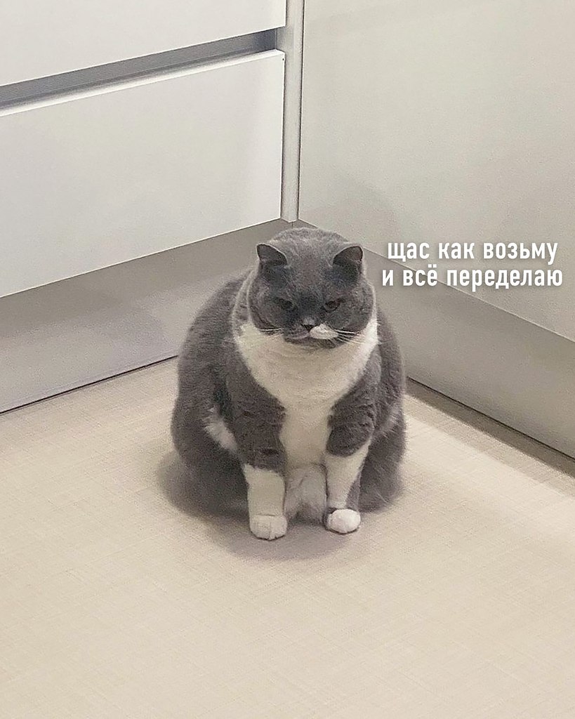    - 4