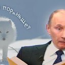 ���� ������, �������, 50 ��� - ��������� 8 ������� 2020 � ������ ������ ��������