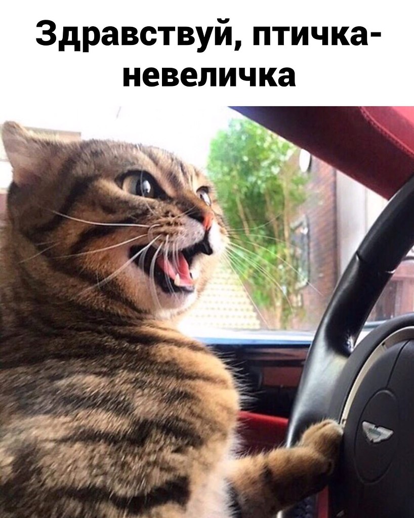    - 2