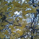 ���� Nadin, �������, 61 ��� - ��������� 4 ������ 2020 � ������ ������ ��������
