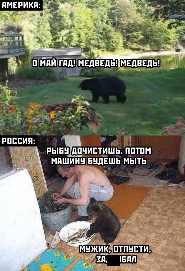  - 16  2021  04:38