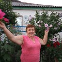 ���� ����, ������-��-����, 71 ��� - ��������� 20 ������� 2020 � ������ ���� ����������