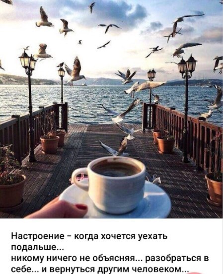  - 8  2020  08:11