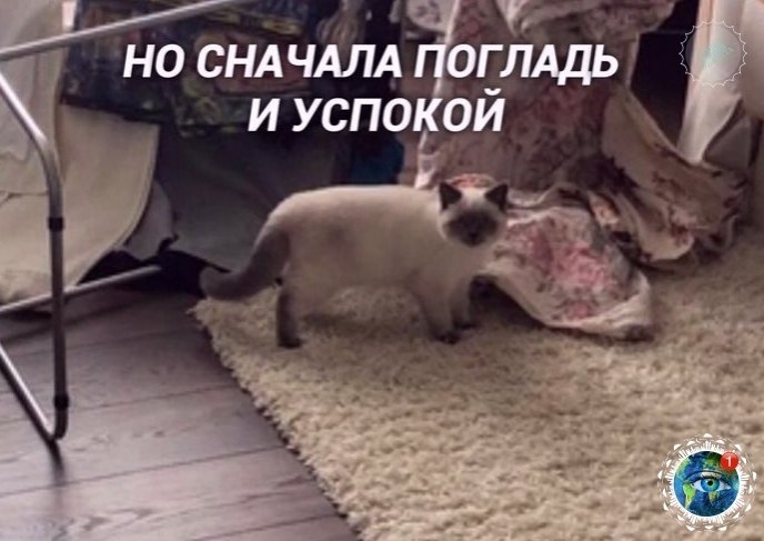 c coc https://fotostrana.ru/away?to=/sl/SYC5atplant - 2