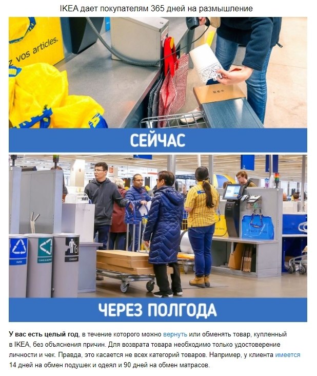 10  IKEA,       ,        ... - 8