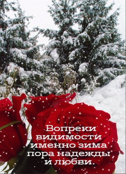  (   ) - 10  2021  05:19