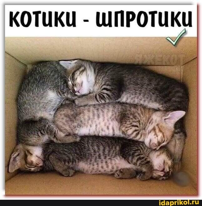:)