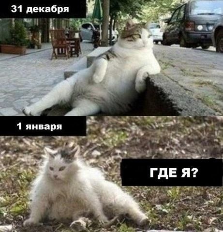   - 8  2020  01:22