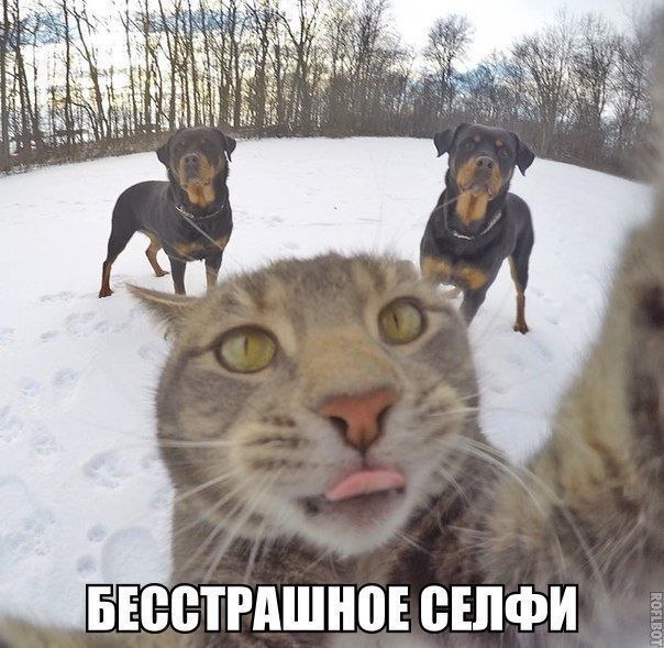 ? ,  ! - 24  2021  09:36