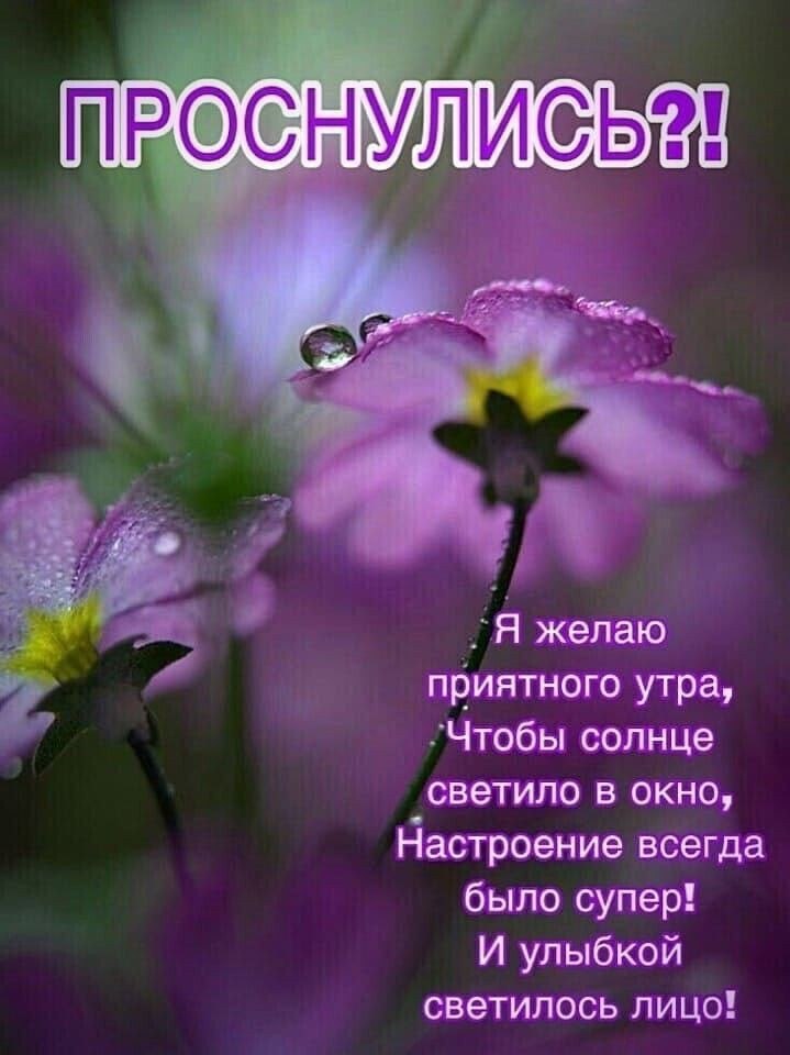   ,    . - 23  2020  23:15 - 8