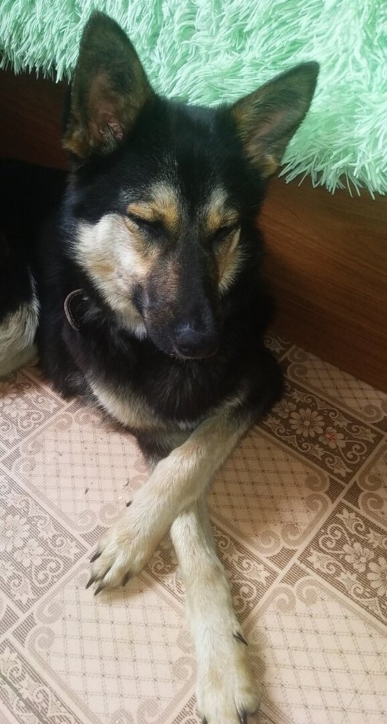 )))))))))