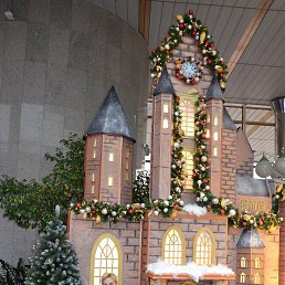 ����, �����, 42 ����