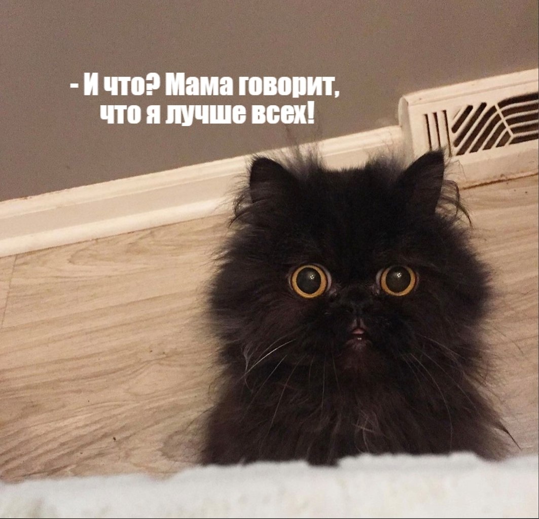       - 20  2021  14:33 - 3