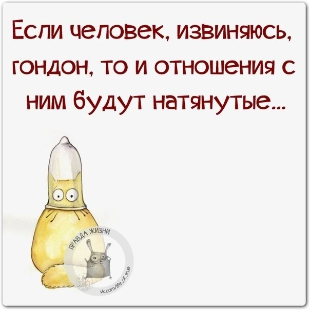   - 3  2020  04:53