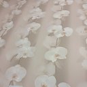 ���� ˸��, �������, 40 ��� - ��������� 20 ������� 2020