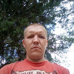 �������, ����������, 36 ���