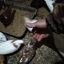 ���� �����, ������� - ��������� 18 ������� 2020 � ������ ���� �����