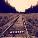  , , 48  -  29  2020    