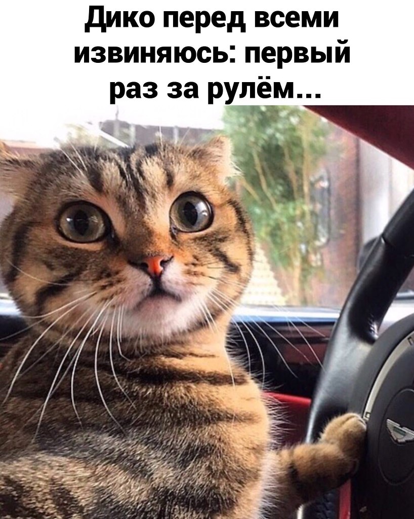    - 4